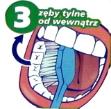 Technika szczotkowania zębów